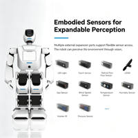 Robot humanoïde personnalisable, compagnon intelligent avec moteur et reconnaissance visuelle, interaction précise YY-CAHR-AELOS-EM
