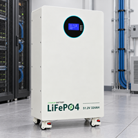 Batterie de stockage d'énergie domestique 16 kWh 51,2 V 314 Ah 8000+ cycles à 80 % DOD pour alimentation de secours résidentielle