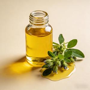 Huile de Bourrache 100% Pure et Naturelle Pressée à Froid, Meilleure Vente, <span class=keywords><strong>Prix</strong></span> de Gros, Huile Essentielle en Vrac - Product Image 5
