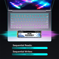 قرص صلب داخلي من نوع M.2 SATA SSD بسعة 128 جيجابايت/512 جيجابايت من مصنع بيستوس، سرعة قراءة 501-600 ميجابايت/ثانية، سرعة كتابة 401-500 ميجابايت/ثانية، ضمان لمدة 3 سنوات
