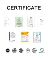 Gouttes de stévia liquides, zéro calorie, édulcorant naturel, produits de beauté, boissons, aliments, complément alimentaire, sans sucre, à base de plantes