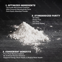 Créatine monohydrate en poudre OEM, gain de masse musculaire, suppléments nutritionnels protéinés pour adultes, 500g, booster de créatine, énergie, muscles