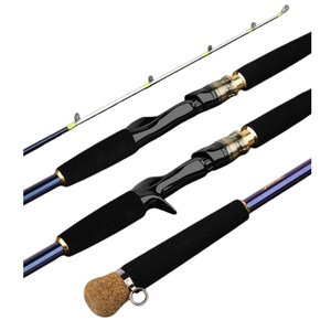 Fuji Fishing Rod - 2-Piece Carbon Saltwater Jigging Rod