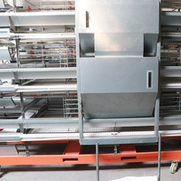 Cages à poulets empilables à 4 niveaux entièrement automatiques personnalisables, durables, galvanisées à chaud, équipement d'élevage avicole