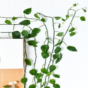Clips de <span class=keywords><strong>fixation</strong></span> <span class=keywords><strong>murale</strong></span> d'escalade de plantes crochet vignes support de Clips de traction pour le support de <span class=keywords><strong>fixation</strong></span> de feuille verte de jardin - Product Image 2
