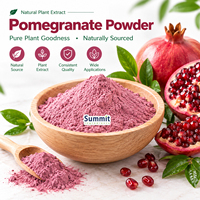 Poudre de fruit de grenade pure naturelle soluble dans l'eau, qualité alimentaire, en vrac, directement de l'usine, pour confiserie et substitut de repas