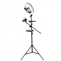 Vente en gros de trépieds pour téléphone portable avec anneau lumineux LED pour la beauté, le maquillage, le streaming en direct, la photo et la vidéo, 10, 12, 14, 16, 18 pouces