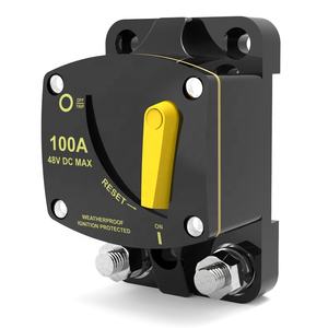 12V 48V Hochspannungs-2-Pol-Stahl-Automobil-Schutzschalter mit Manueller Rückstellung 50A 60A 100A 150A 200A 120A DIN-Schienen-Montage 18kA Leistungsschalter - Product Image 1