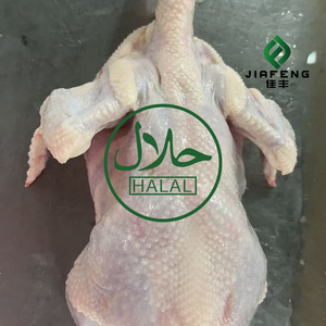 Poulet entier congelé cuit halal, poulet entièrement halal - Product Image 3