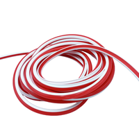Tube lumineux néon LED en silicone flexible 6mm 8mm 12mm pour la décoration de panneaux néon