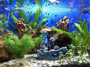 Tanque de peces Aquascape resina barco acuario decoración suministros medio naufragio pecera decoración escondite cueva - Product Image 6