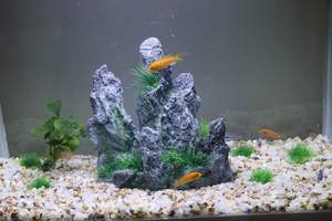 <span class=keywords><strong>Aquarium</strong></span> Bergcichlid Hars Steenrots Betta Vis Schuilplaats Natuurlijke Uitzicht Zee-/Zoetwater <span class=keywords><strong>Aquarium</strong></span> Landschap Grote Vis - Product Image 6