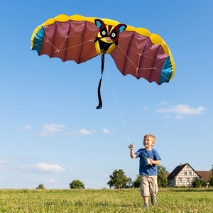 Cometa SEE01 de Doble Línea, Cuerpo Flexible, Deportiva y Acrobática con Tela a Cuadros - Fácil de Volar en Brisa Ligera para Edades de 0 a 24 Meses - Product Image 3