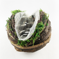 Pots de fleurs et de légumes biodégradables écologiques faits à la main de haute qualité, auto-arrosants, vente en gros pour l'intérieur
