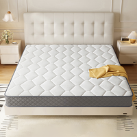 Matelas à ressorts Queen Firm Bonnell pour chambre d'hôtel Tissu matelassé respirant Conception anti-acariens Convertible pour appartement
