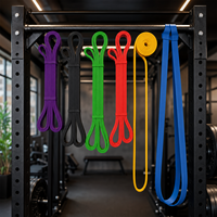 Bandas de asistencia para dominadas, banda elástica para barra de dominadas, banda de goma para barra de dominadas, mejores correas para dominadas, mejor juego de bandas de asistencia para dominadas OEM