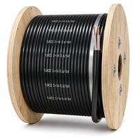 Câble de commande et d'alimentation blindé en cuivre YJV22 2 conducteurs 0,6/1 kV 2*2,5 mm² 2*4 mm² 2*6 mm² pour système de commande électrique 2*10/2*16