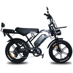 X80 Pro 20 pouces V20 vélo électrique 250W moteur gros pneu E vélo roues adulte Cargo vélo électrique VTT Ebike - Product Image 6