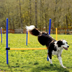 Pawise 28 pièces Ensemble d'équipement d'agilité pour <span class=keywords><strong>chien</strong></span> : parcours d'obstacles, tunnels, poteaux, boîte <span class=keywords><strong>de</strong></span> pause, sacs <span class=keywords><strong>de</strong></span> transport, meilleures ventes - Product Image 6