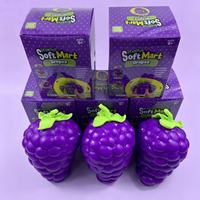 Vente en gros Nouveauté 2026 Jouet Squishy Géant en forme de Raisin, Parfumé, à Remontée Lente, en Mousse TPR, Fruité de Simulation, Anti-stress, Cadeau Fidget