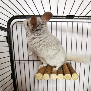 Commercio all'ingrosso eco-friendly Totoro piattaforma di salto scoiattolo in legno a pedale coniglio molari giocattolo Pet in legno massiccio <span class=keywords><strong>trampolino</strong></span> 0.5kg - Product Image 5