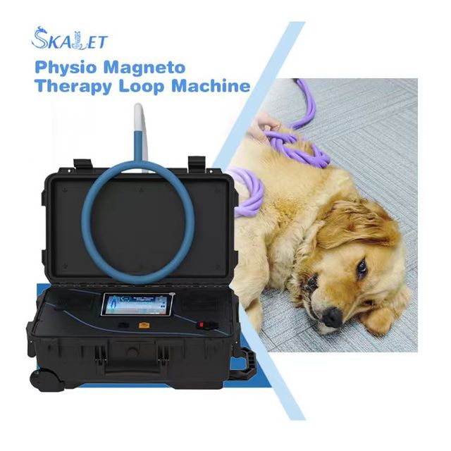 Skalet Pemf Emtt Degenerative Joint Diseases Magnetic Therapy Machine Emtsf Loop Portable Pain Relief Veterinary Animal High