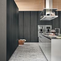 Meubles de cuisine modulaires écologiques JINGSHUN, design personnalisé, structure en bois massif, ensemble complet imperméable, panneaux en contreplaqué