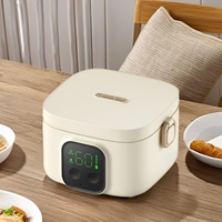 Nouvelle boîte à lunch pour bébé rechargeable en acier inoxydable 304 de 500 ml, avec batterie USB, affichage numérique LED, minuteur pour voiture, utilisation domestique et extérieure, 8