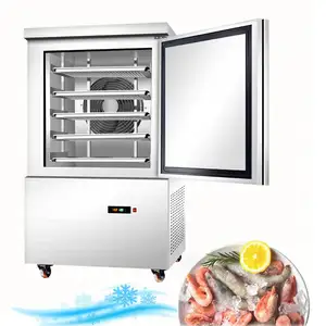 commercial blast freezer plate freezer refrigeration equipment for chicken small freezer quick freezing