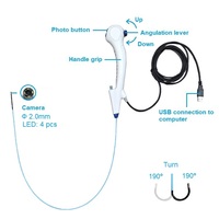 Offre Spéciale : Endoscope Portable Flexible Réutilisable pour Urethroscopie et Pyéloscopie, Équipement Médical à Source Lumineuse pour Vétérinaire
