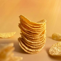 Chips de pommes de terre en conserve et assortiment de snacks disponibles en gros avec faible MOQ pour une approvisionnement efficace