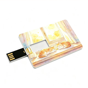 Clé <span class=keywords><strong>USB</strong></span> personnalisée avec logo OEM, <span class=keywords><strong>USB</strong></span> 2.0/3.0, 2 Go, 4 Go, 8 Go, 16 Go, 32 Go, 64 Go, format carte de crédit, <span class=keywords><strong>lot</strong></span> de <span class=keywords><strong>clés</strong></span> <span class=keywords><strong>USB</strong></span> - Product Image 5