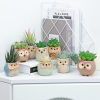 Hibou Pot Céramique Coulant Glaçure Base Ensemble Succulent Plante Pot Cactus Pot De Fleur Conteneur Planteur avec Trou De Drainage