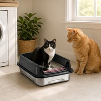 Bac à litière pour chat, toilette pour chat d'appartement, grande capacité, sans poussière, anti-adhésif, sans odeur, vente en gros, résistant aux intempéries