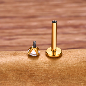Orecchini a perno in titanio F136 all'ingrosso, con zirconi da 2-4mm, labret a filettatura interna 16G, per <span class=keywords><strong>piercing</strong></span> labbra, orecchio, <span class=keywords><strong>trago</strong></span> e corpo - Product Image 6