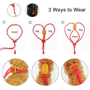 2 in 1 gece yürüyüş Light up köpek aksesuarları güvenlik uyarı led'i köpek kolye ayarlanabilir halat köpek koşum ve tasma Set - Product Image 4