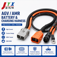 Harnais de câblage personnalisé haute intensité pour batteries AGV/AMR et connecteurs, pour l'assemblage de câbles de robots mobiles d'entrepôt