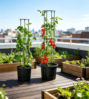 Jardinière en plastique à arrosage automatique, pots de fleurs auto-arrosants avec supports de croissance pour tomates