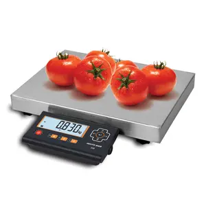 Good Price Direct Sale High Accurate Piece Counting LCD Display Industrial Weighing Scale Digital Indicator