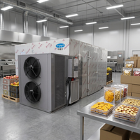 Hoge-drukdroogmachine voor fruit, tomaten- en mangodroger te koop