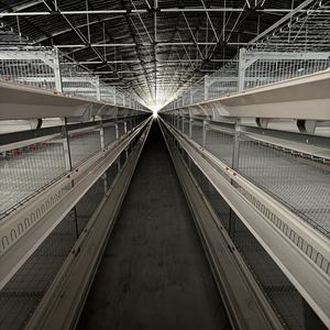 معدات تربية الدجاج الأوتوماتيكية على شكل حرف H مع أقفاص بطارية جديدة للدجاج البياض مصنوعة من الفولاذ المغلفن بالغمس الساخن لنيجيريا - Product Image 5