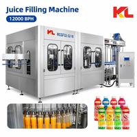 Machine de remplissage de jus de fruits 3 en 1 personnalisable à haut rendement pour bouteilles PET, mise en bouteille de boissons aux fruits à grande échelle