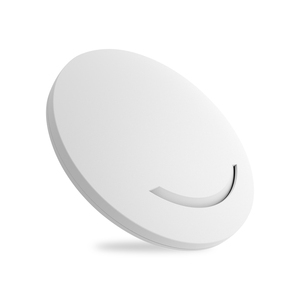 Indoor 2.4Ghz 300Mbps Wifi Built-In Antenna Dual-Band <strong>Wireless</strong> Access Point Enterprise-Class Professional <strong>Wireless</strong> <strong>Ap</strong> - Product Image 3