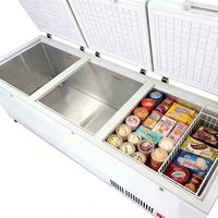 Congélateur coffre horizontal commercial à double porte, grande capacité, alimentation électrique pour usage domestique et hôtelier