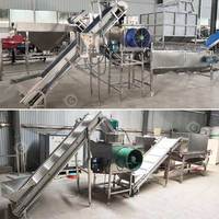 Droge knoflookpeller sorteermachine, elektrisch pneumatisch, kleine sorteerkettingmachine, proces, fabricage, prijs
