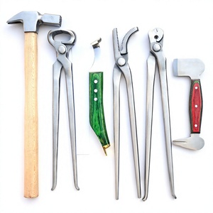 Heavy Duty 6pcs Farrier Horse Hoof Care Tool Kit Hoof Nippers Precision Hoof Knife Buffer Rasp Horse Trimming Equipment - Product Image 1