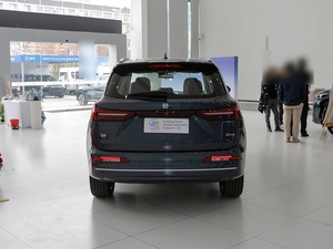 TCCH <span class=keywords><strong>Seres</strong></span> LANDIAN E5 Plus 2025 Nouveau SUV Hybride LHD 165 km Automatique Véhicule à Énergie Nouvelle Prix d'Exportation Usine - Product Image 4
