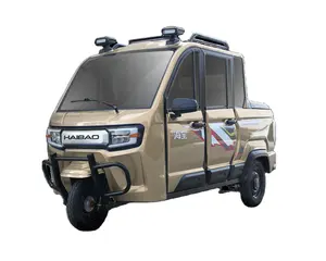 Triciclo elétrico 3 Rodas Elétrico Três Rodas Caminhão de carga pickup caminhão leve 4 portas 3 assentos 1000W 60V80Ah handle