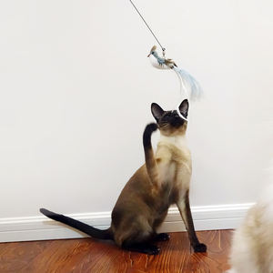 Juguetes plegables sostenibles para gatos con mango de madera, alambre de acero, pluma y varilla larga, divertidos, resistentes a mordeduras y arañazos para jugar con gatos. - Product Image 2