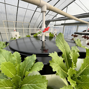 Hydroponic Tower Vertical Garden System Aeroponic Indoor <b>Plant</b> Grower PVC <b>Frame</b> High Rigidity Eco-Friendly Design 6 Months - Product Image 5